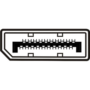 Assmann AK-340301-020-S 2 m Videokabel für Videogerät - DisplayPort Digital Audio/Video - DVI-D Digital Video
