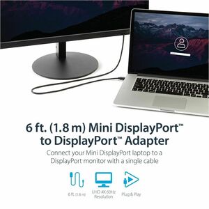 StarTech.com 2m Mini DisplayPort auf DisplayPort 1.2 Kabel, 4K x 2K mDP auf DisplayPort Adapter Kabel, Mini DP auf DP Moni