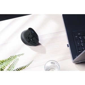Trust Voxx Maus - Bluetooth/Radio-Frequenz - USB 2.0 Typ A - Optisch - 9 Taste(n) - Kabellos - 2,40 GHz - 2400 dpi Auflösu