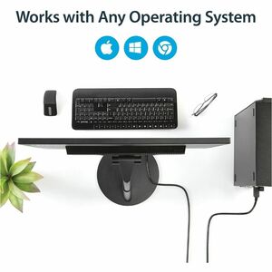 StarTech.com 1,8m DisplayPort auf DVI Kabel - Stecker/Stecker - Cable for Videogerät, Projektor, HDTV, Monitor, Workstatio