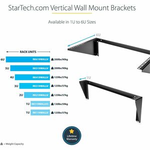 StarTech.com 2HE 19 Zoll Wandmontage Geräte Rack - max. 56,84 kg Traglast - 1