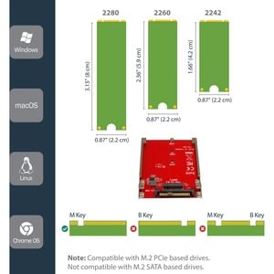 StarTech.com M.2 auf U.2 (SFF-8639) Host Adapter für M.2 PCIe NVMe SSD - M.2 Laufwerksaddapter - M.2 PCIe SSD Adapter