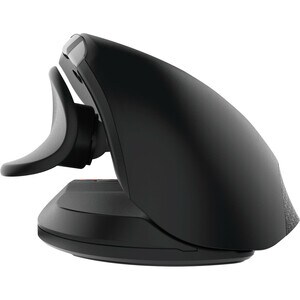  AND SUP ALL HAND SIZE