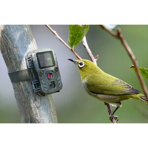 TECHNAXX MINI NATURE CAM TX-117