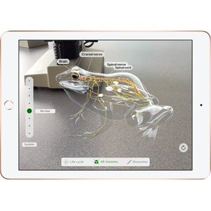 Tablette Apple iPad - 24,6 cm (9,7") - Hurricane Dual-core (2 cœurs) 2,34 GHz + Zephyr Dual-core (2 cœurs) - 2 Go RAM - 32