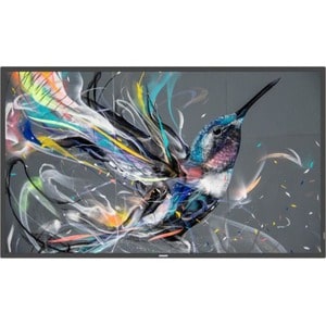 Philips Q-Line 43BDL3511Q 108 cm (42,5 Zoll) LCD Digital-Signage-Display - 3840 x 2160 - Direct-LED - 400 cd/m² - 2160p - 