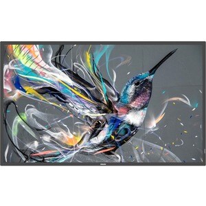 Philips Q-Line 65BDL3511Q 163,8 cm (64,5 Zoll) LCD Digital-Signage-Display - 3840 x 2160 - Direct-LED - 400 cd/m² - 2160p 