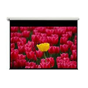 Optoma Panoview DE-9120EGA 304,8 cm (120 Zoll) Elektrische Projektionsleinwand - Frontprojektion - 16:9 - Mattweiß - Wandh
